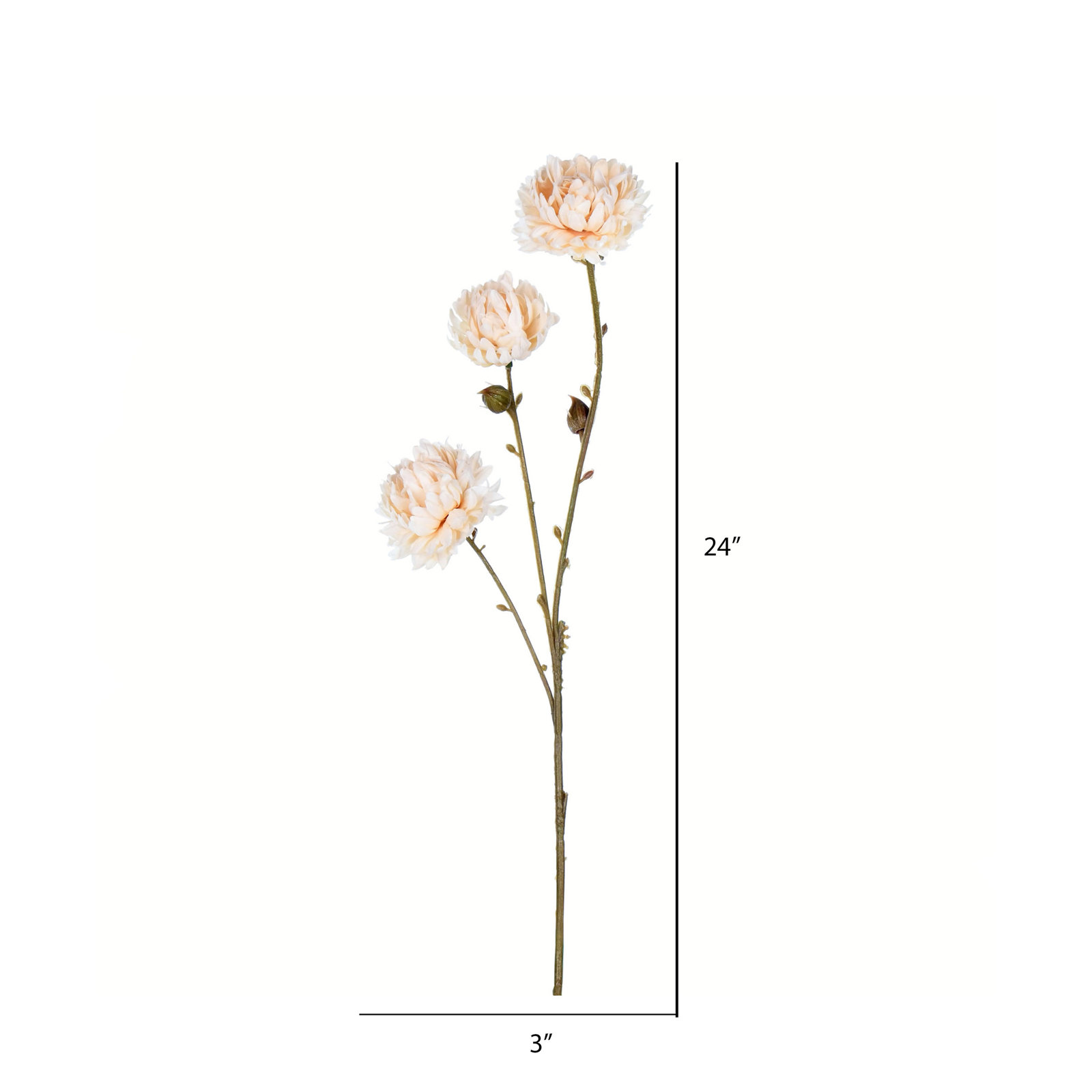 Mum Floral Stems, Ivory