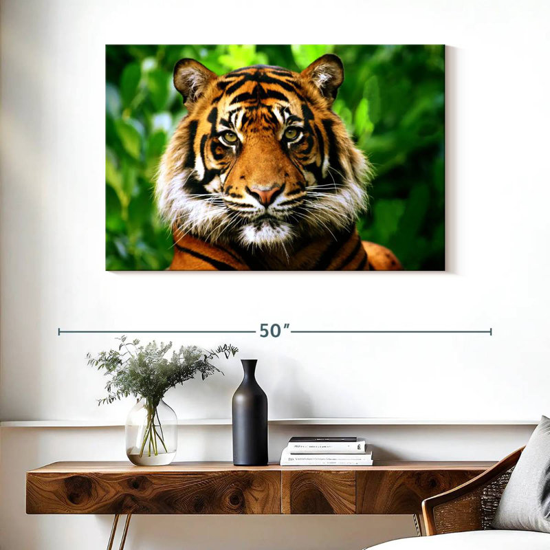 Sumatran Tiger Gaze, 26" H x 39" W