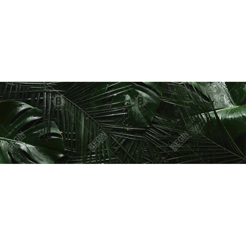 Toile jungle tropicale | Décoration murale feuilles exotiques vertes, H 49,25 po x l 17,25 po