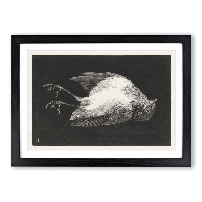 Dead Robin by Theo Van Hoytema - Picture Frame Graphic Art, 36cm H x 48cm W x 2cm D, Black Framed