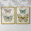 «Botanical Butterfly I», reproduction encadrée de qualité supérieure - prête à être accrochée - aucun clou requis - aucun clou requis-1225728715-1225728712