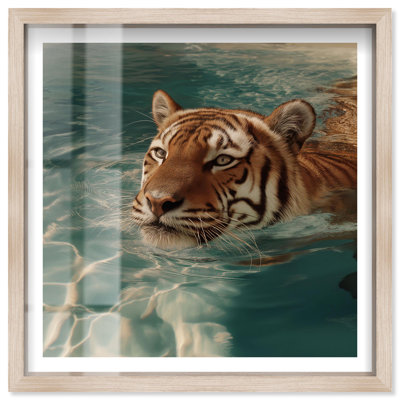 Décoration murale tigrée Aqua Tiger II par Notoriart, cadre blond, 31 x 31