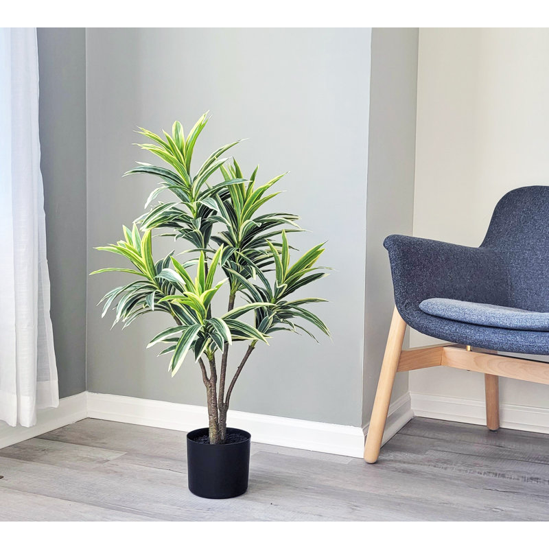 Keil Faux Dracaena Tree in Pot, 34" H x 22" W x 22" D