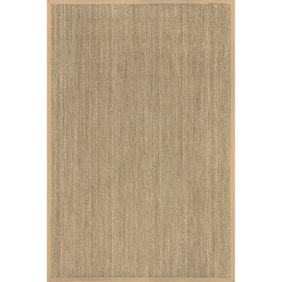 Palacio Farmhouse Seagrass Area Rug in Beige
