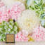 Murale fleurs et plantes grasses-70919188