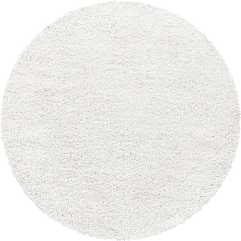 Carlosadrian Oriental Indoor Rug, Round 6'