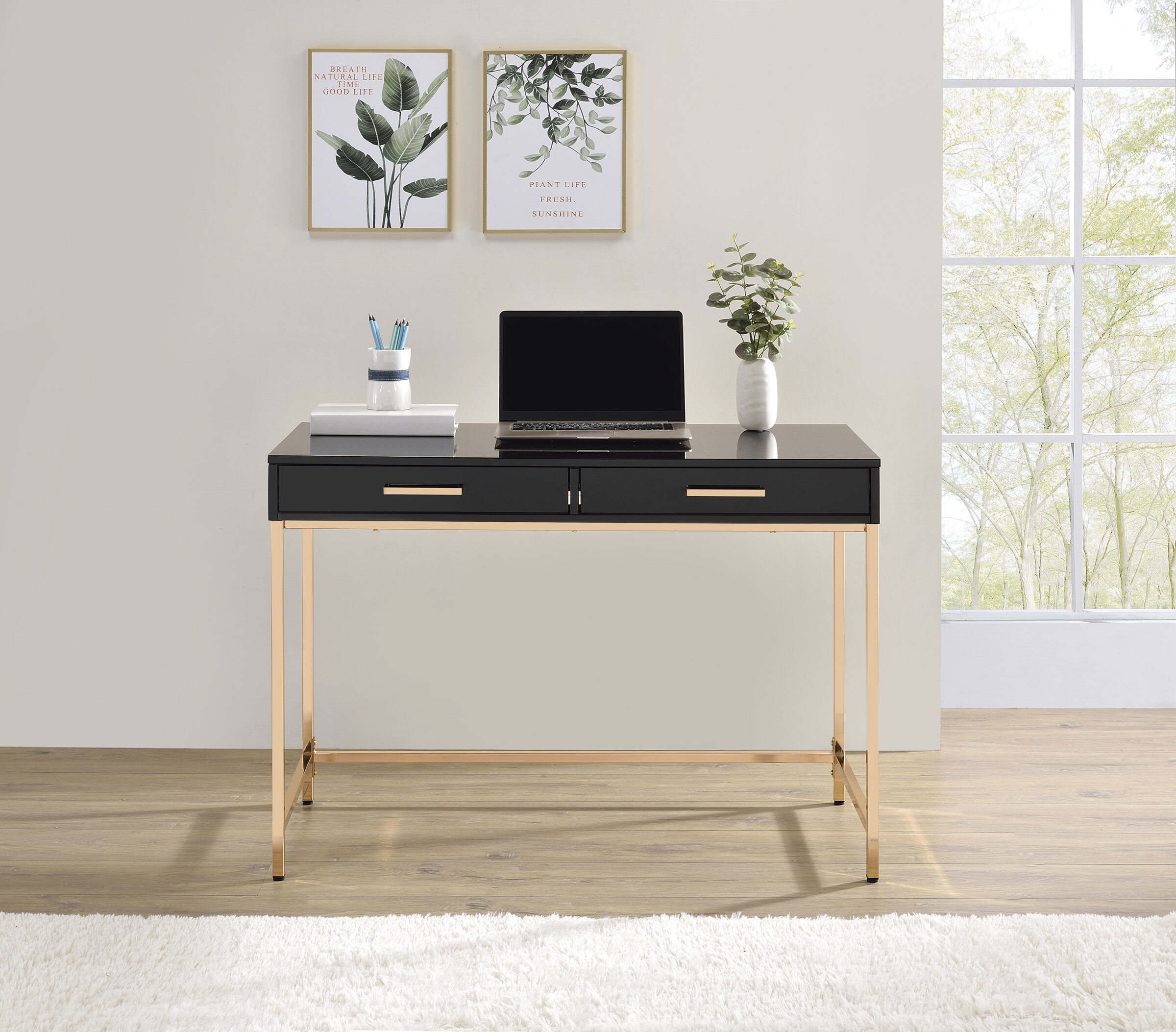 Everly Quinn Ossabaw Desk & Reviews | Wayfair