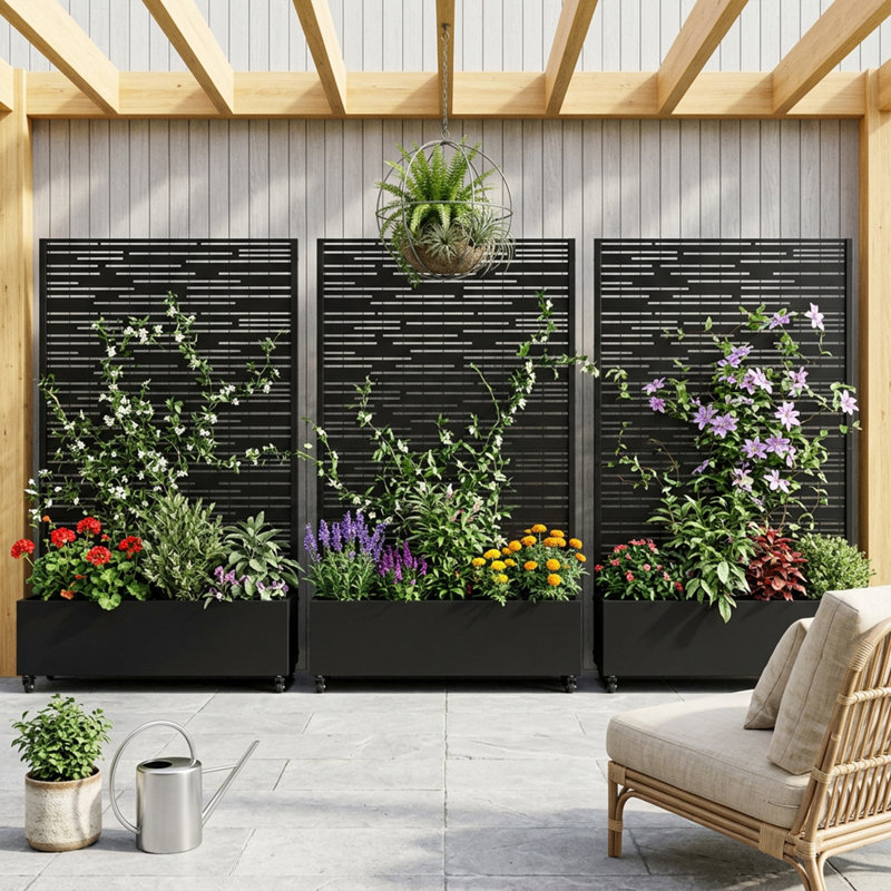 185 H x 240 W, 185cm H x 360cm W x 40cm D