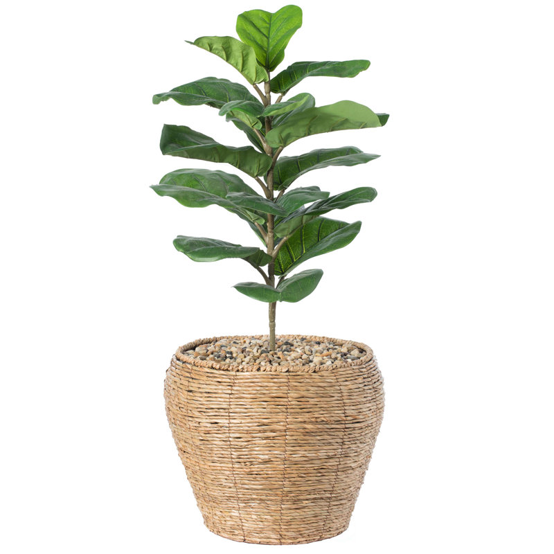 Mckee Pot Planter, 16" H x 15" W x 15" D