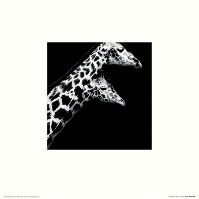 In Love II by Nicolas Evariste - No Frame Print