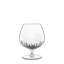Mixology 15.75 oz Cognac Glasses (Set of 6)