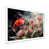 White Single Picture Framed