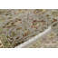 Oriental Area Rug