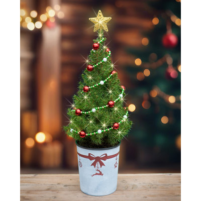 22" Starlight Table Top Christmas Tree