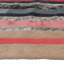 Nueva Raya Cowhide Striped Area Rug-69025900