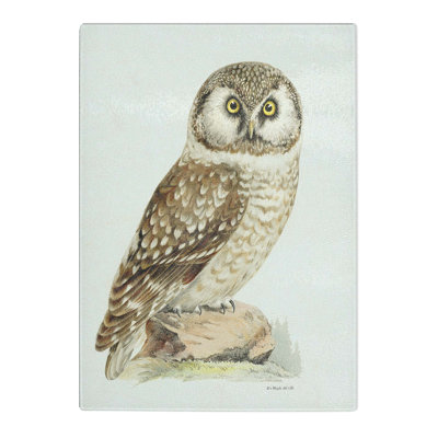 Tempered Glass Boreal Owl by Von Wright Chopping Board