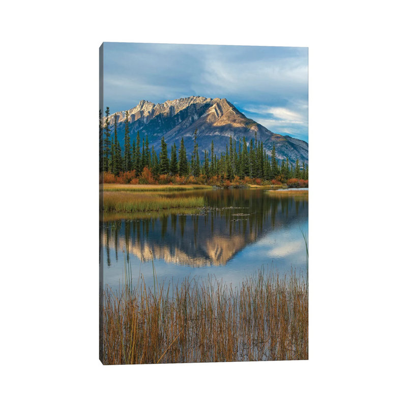 Taiga And Peaks, Moberly Flats, De Smet Range, Rocky Mountains, Jasper National Park, Alberta, Canada by Tim Fitzharris - Wrapped Canvas Print