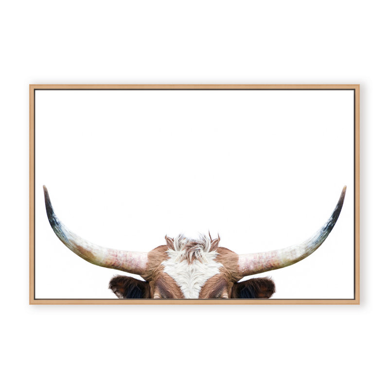 Nature Inspired Peeking Longhorn Cow by  - Picture Frame Photograph on Paper, 32" H x 48" W x 1.125" D, Framed Matted Print