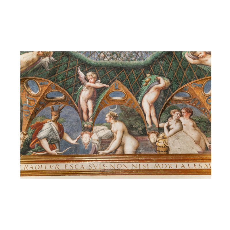 Toile de Parmigianino, détail de Diana et Actéon, 2384753, 1524, H 30 po x l 47 po
