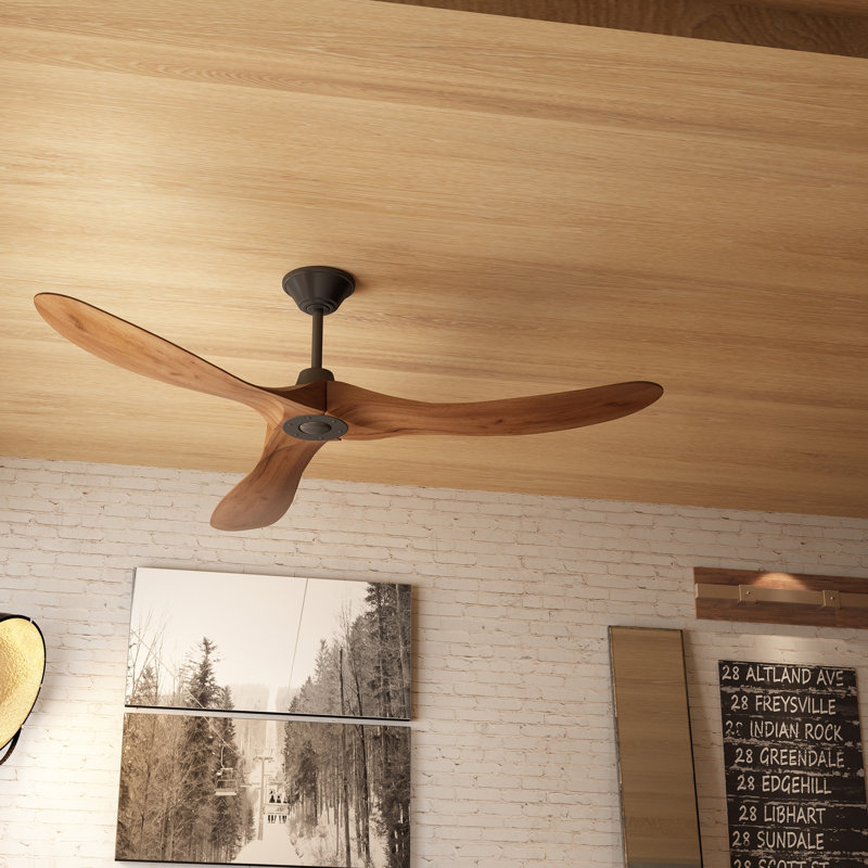 Bria 59.8'' Ceiling Fan