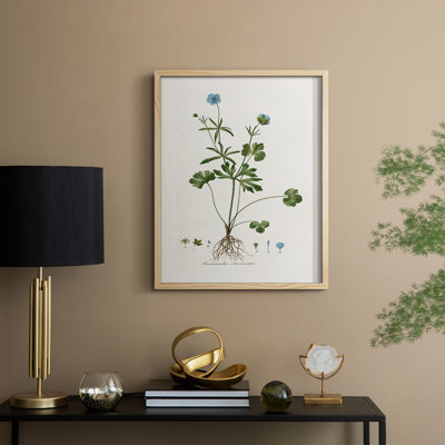 «Buttercup Study», reproduction encadrée - bois massif