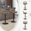 Swivel Upholstered Counter Stool