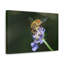 Wall Art on Canvas-773559951