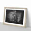 The Majestic Elephant - Picture Frame Graphic Art Print-56875903-56875905