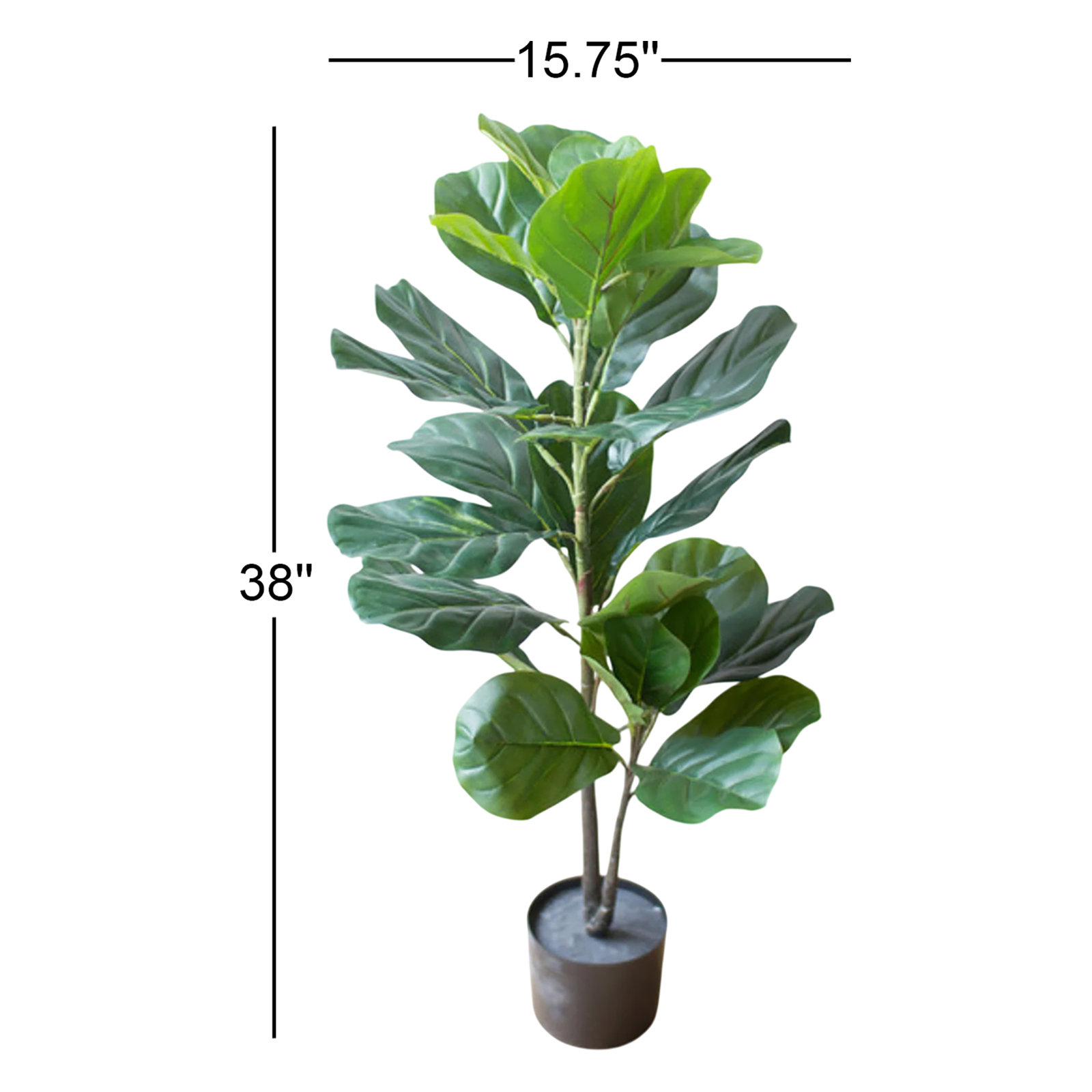 38'' Fiddle Leaf Fig Plant in Pot