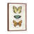 Classic Brown Wood Framed