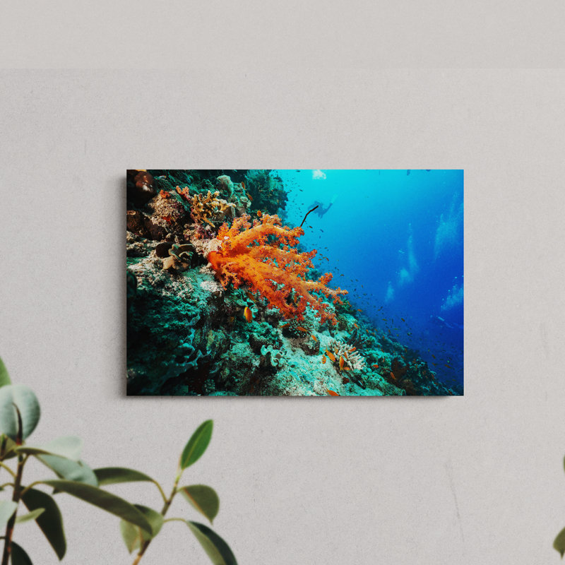 Orange Coral in a Reef, 12" H x 18" W