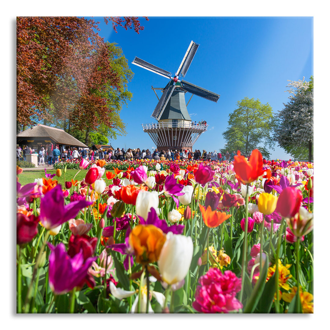 Leinwandbild Niederländisches Tulpenmeer vor einer Windmühle