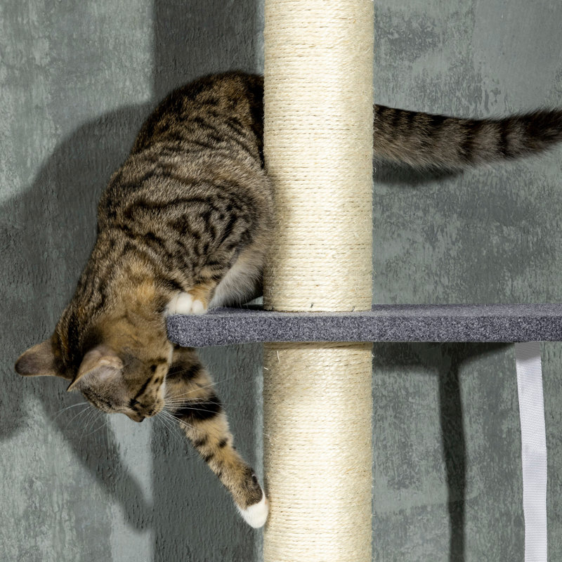 685.8cm H Cat Tree