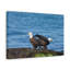 No Frame Print on Canvas-1002254581