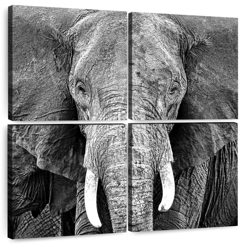 Brampt Elephant Wrinkles, 18" H x 18" W