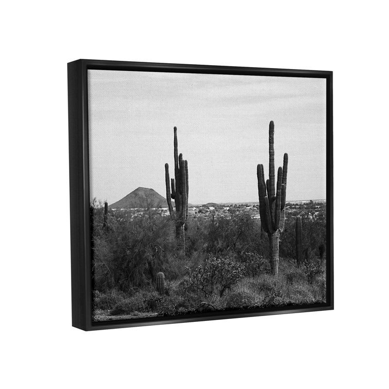 Désert, cactus désertique, nature, monochrome par Graffitee Studios - photographie sur toile flottante