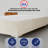 15" Premium Velvet Material Box Spring/Bed Frame With Headboard, Durable & Stylish Silver Metal Legs-992275076-992275080