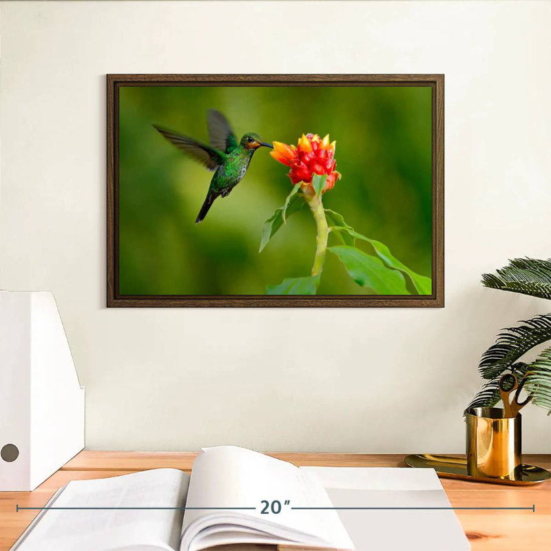 Fleur et colibri vert, 13 po x 9 po, Cadre flottant noyer