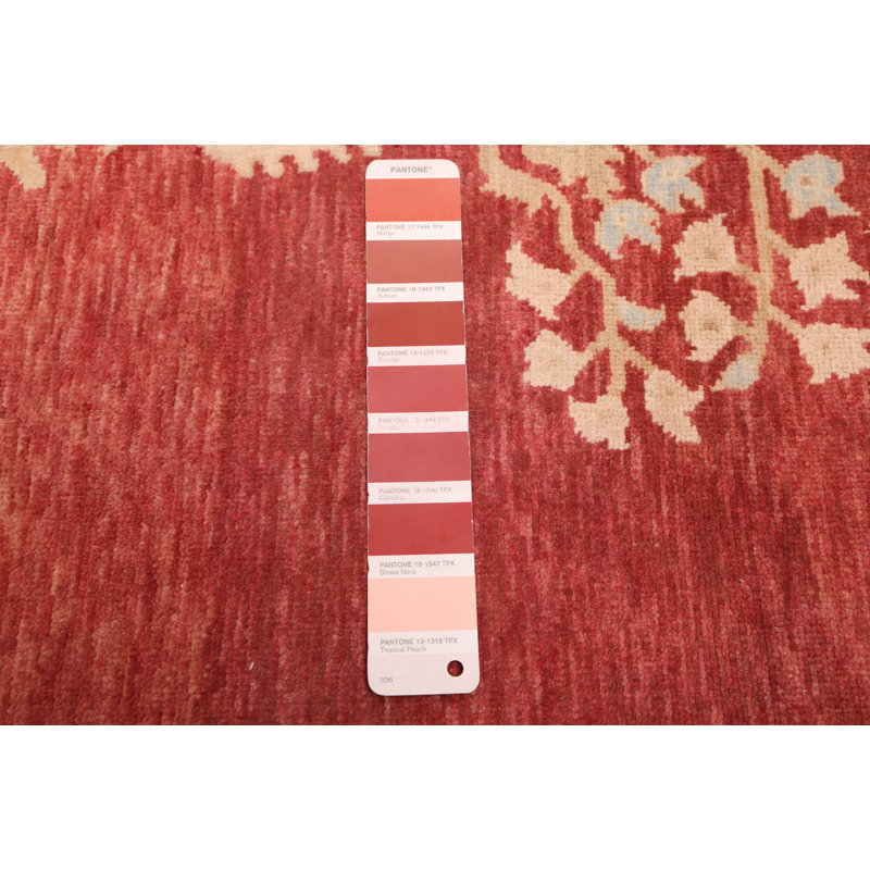 Tapis rouge 18 pi 20 po 9 pi 1 po x 11 pi 8 po Pako