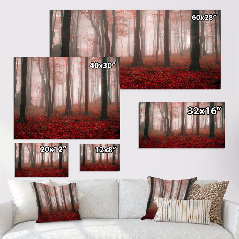 «Foggy Morning Red Forest II», photographie sur toile, H 28 po x l 60 po x P 1,5 po, Toile tendue