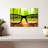 Alcaraz Forest Vision-107676743