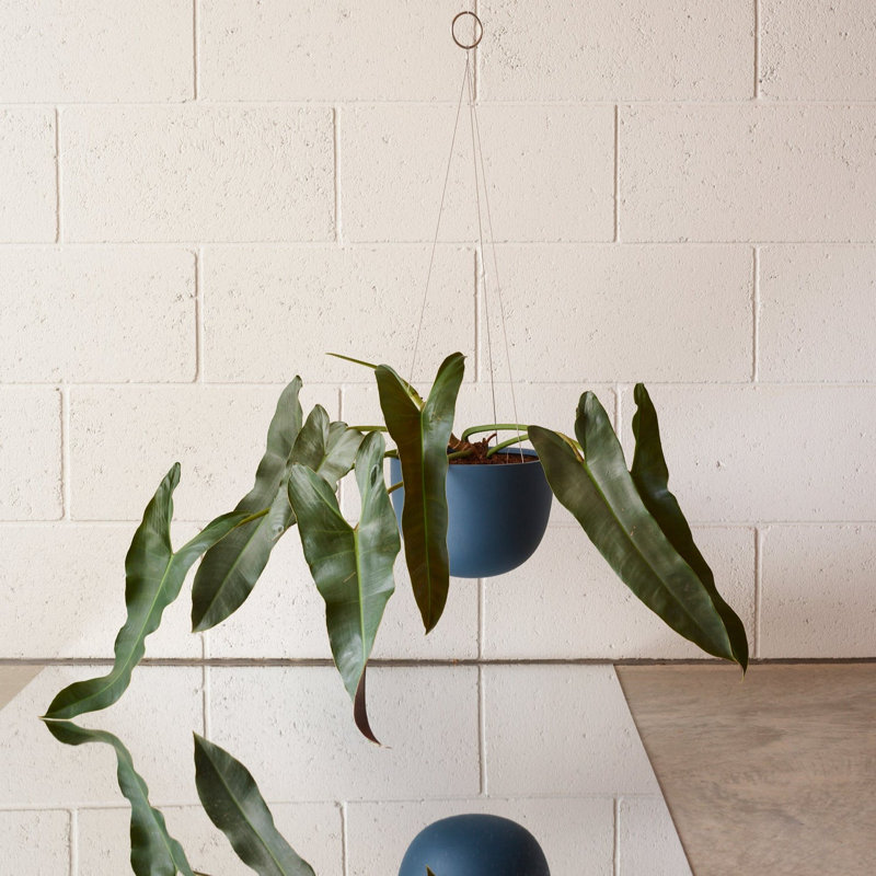Stainless Steel Hanging Plant Pot, Matt Deep Blue, 4.8" H x 6.9" W x 6.9" D
