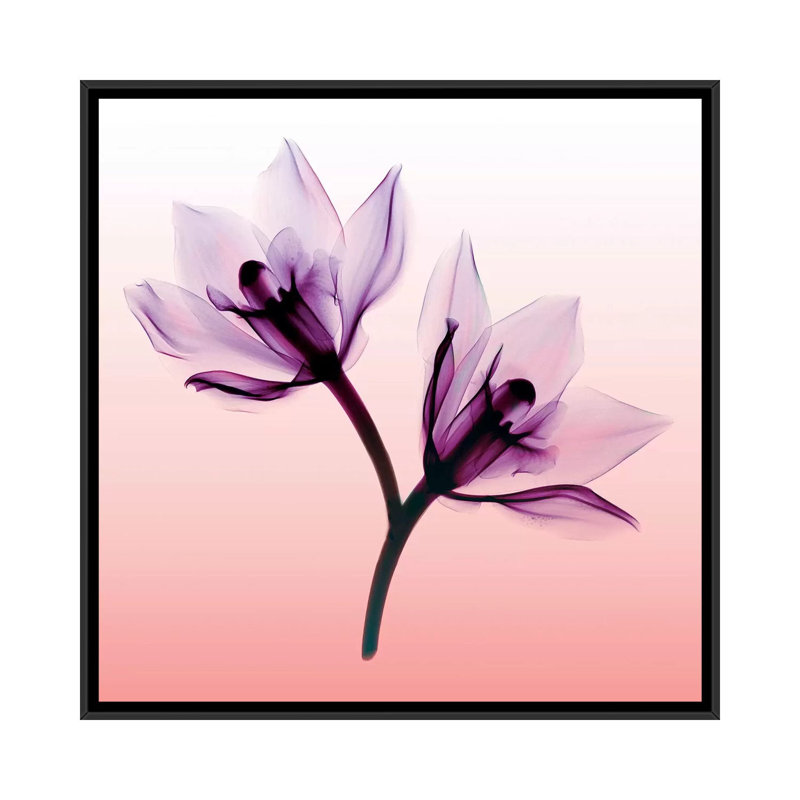 «Orchids II», impression sur toile, H 18 po x l 18 po x P 1,5 po, Toile encadrée noire, Pas de tapis