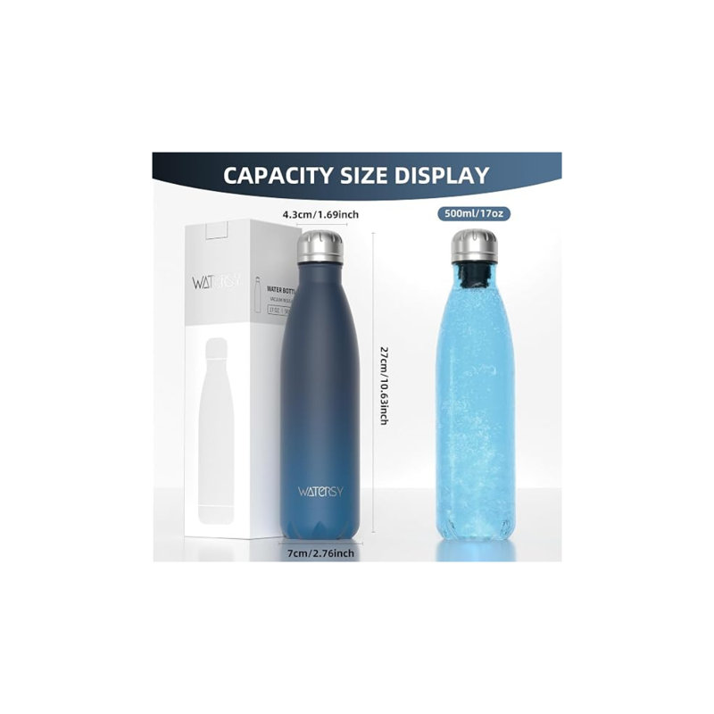 Bouteille d'eau en acier inoxydable de 17 oz Watersy, bleu-vert