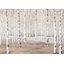 «Tall Birch Trees Neutral Toned», reproduction d'art sur toile tendue