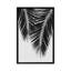 «Palm Leaf II B&W» par Orara Studio - Impression sur toile tendue sur châssis-29681845-74426849-74426852
