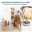 Insertion de bol pour chien