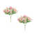 Rose est en rupture de stock