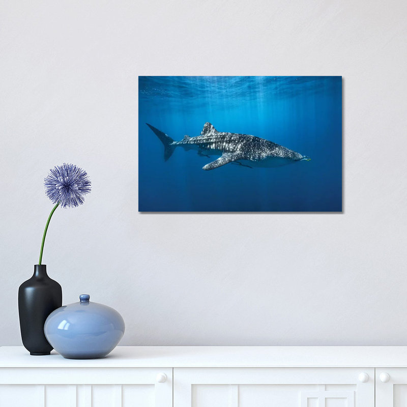 Whale Shark in the Blue 1 Piece Wall Art on Canvas, 30.48cm H x 45.72cm W x 1.91cm D, Wrapped Canvas