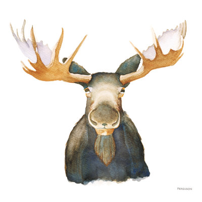 Moose by Kathy Ferguson - Wrapped Canvas Print